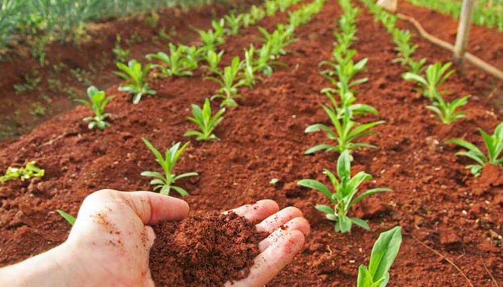 La microbiología busca ganar espacios en el sistema productivo argentino