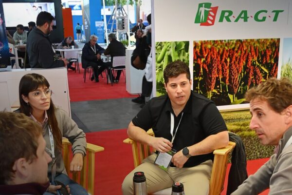 Semillas: la genética francesa busca ganar el partido de los rindes en el campo argentino