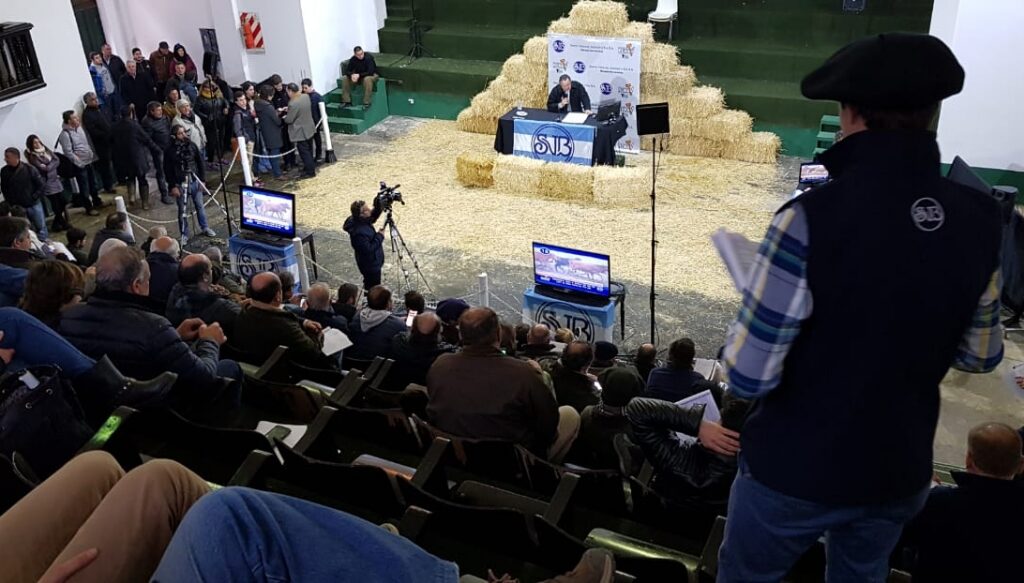 Aunque suben, los precios de la hacienda siguen retrasados: “Tendríamos que estar vendiendo en $ 3.000”