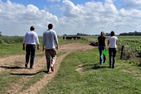 Bienestar animal: la FAUBA lanzó un sello de calidad para mejorar la producción de carne y leche Bienestar animal: la FAUBA lanzó un sello de calidad para mejorar la producción de carne y leche