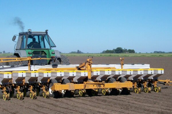 No hay vuelta atrás: el maíz va camino definitivamente a una fuerte caída de la siembra