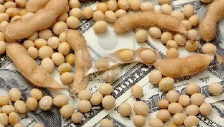 Alivio para la economía: el ingreso de dólares del agro fue el mejor del año en julio