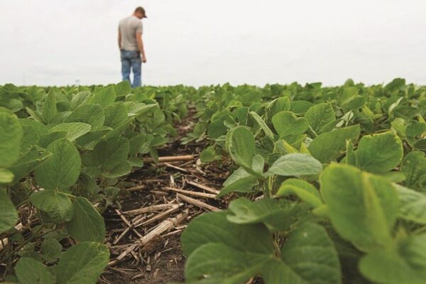 Sembrá Evolución aspira a duplicar hectáreas y superar el 20% de la soja sembrada en Argentina