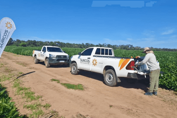 Herbicidas: la nanotecnología nacional se hace global y reduce el impacto ambiental