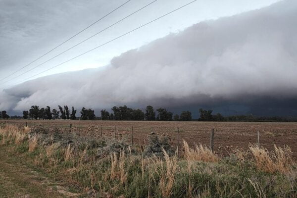 ¿Cuándo llega la Tormenta de Santa Rosa?: mitos y verdades de una leyenda popular