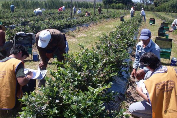 Denunciando “gravísimos incumplimientos”, el Gobierno intervino la obra social de la UATRE
