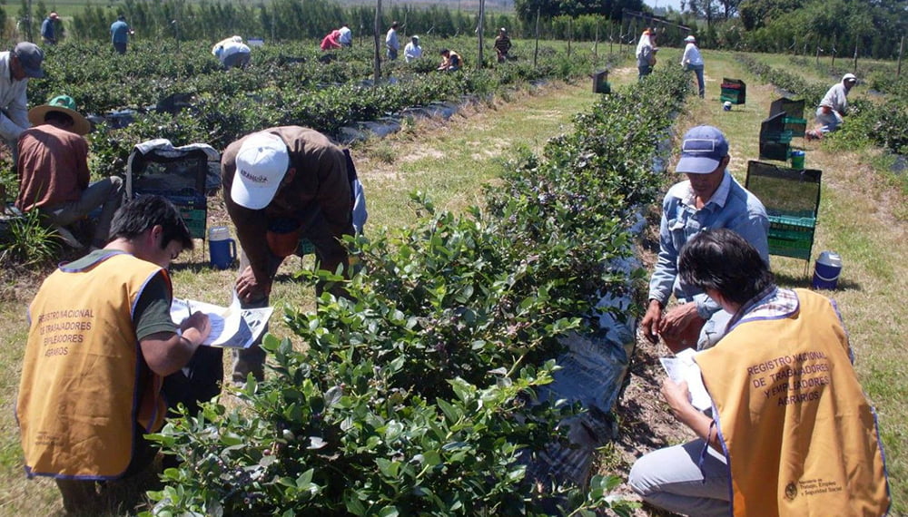 Denunciando “gravísimos incumplimientos”, el Gobierno intervino la obra social de la UATRE