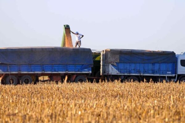 Aliciente: el “costo argentino” del transporte por camión ya no es un punto en contra para la competitividad