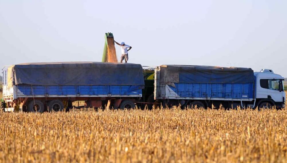 Aliciente: el “costo argentino” del transporte por camión ya no es un punto en contra para la competitividad