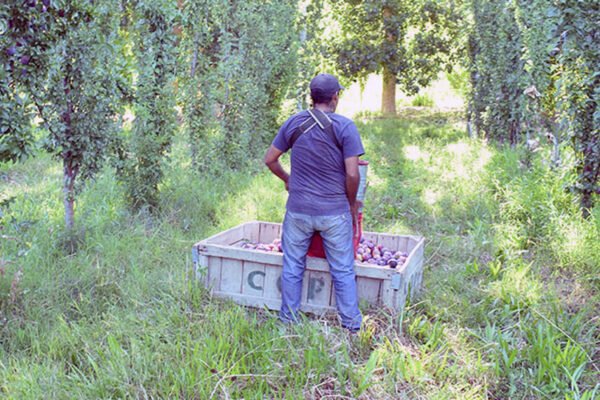 Se oficializó la intervención de la obra social de los trabajadores rurales, por una deuda de $ 45.000 millones Se oficializó la intervención de la obra social de los trabajadores rurales, por una deuda de $ 45.000 millones