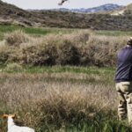 La Guardia Civil de Valencia retira armas e interpone denuncias en inspecciones de caza mientras en Ecija sorprenden a un grupo de furtivos