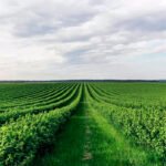 Agricultores españoles y lusos piden retribución por reducir huella de carbono: “Quien contamina tiene que pagar; y quien descontamina tiene que cobrar”