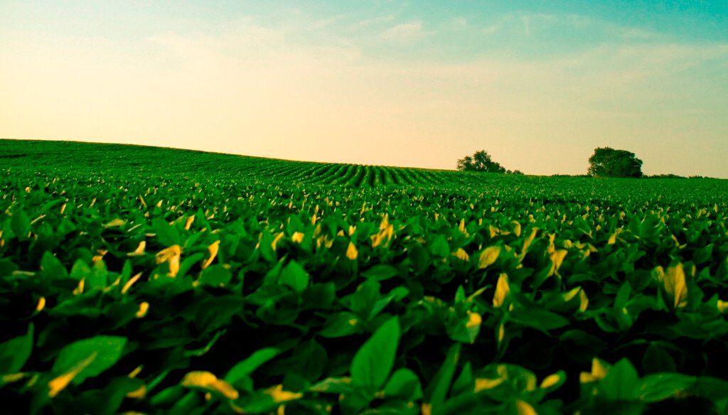 Liderando soluciones: el desafío de complementar las prácticas habituales con los biológicos