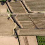 Los créditos a la naturaleza: las ayudas europeas para adaptar al campo ante el cambio climático que nace con «cantos de sirena»