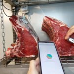 Información y formación para una carne madurada segura y de calidad de la mano del proyecto demostrativo INNOVAMAD y el IRTA