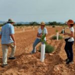 CultivEco: puesta en marcha de la Red de “Fincas Faro” y “Fincas Piloto” para el impulso de la agricultura ecológica en el Mar Menor