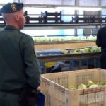 Cae una banda que vendió dos millones de kilos de frutas y verduras como ecológicas en mercados europeos en los últimos seis meses Cae una banda que vendió dos millones de kilos de frutas y verduras como ecológicas en mercados europeos en los últimos seis meses