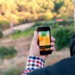 GaIA, el primer asistente fitosanitario gratuito con Inteligencia Artificial que ayuda a agricultores y técnicos a encontrar el tratamiento más adecuado