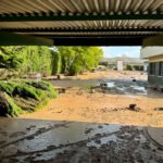 Las danas han dañado 25.500 hectáreas de cultivo asegurados en agosto, sobre todo en cítricos y uva, con unas indemnizaciones de 20 millones