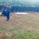 El lobo mata a 15 ovejas justo antes de que el Gobierno deba decidir si respalda rebajar su estatus de «estrictamente protegido a protegido» El lobo mata a 15 ovejas justo antes de que el Gobierno deba decidir si respalda rebajar su estatus de «estrictamente protegido a protegido»