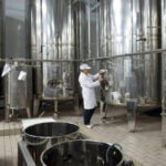 La desigual DANA deja en el aire 300.000 toneladas de la próxima cosecha de aceite de oliva y piden recuperar la norma de almacenamiento