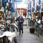 Cuando las barbas de tu vecino veas pelar…: los ganaderos franceses inquietos por el anuncio de Lactalis de reducir un 9% la recogida de leche Cuando las barbas de tu vecino veas pelar…: los ganaderos franceses inquietos por el anuncio de Lactalis de reducir un 9% la recogida de leche