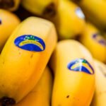 El precio de los alimentos subió un 316 % del campo a la mesa en agosto, oscilando entre el 666% del plátano al 31% del aceite de oliva