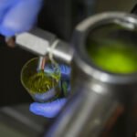 La supresión temporal del IVA desde julio y la caída de la cotización en origen llevan al precio del aceite a la baja La supresión temporal del IVA desde julio y la caída de la cotización en origen llevan al precio del aceite a la baja