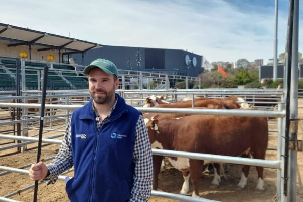 Genética bovina: un jurado cuenta los secretos a la hora de la selección de los mejores animales