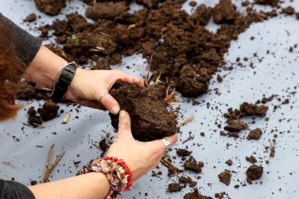 “Doctores de los suelos”: desembarcó en Argentina un programa mundial con foco en la sustentabilidad