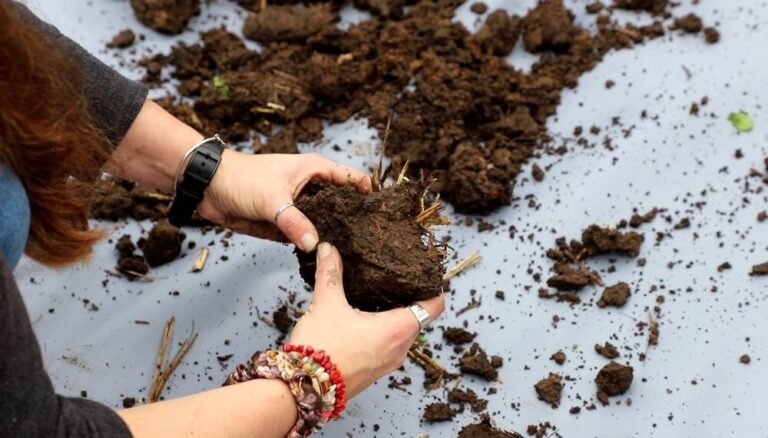 “Doctores de los suelos”: desembarcó en Argentina un programa mundial con foco en la sustentabilidad