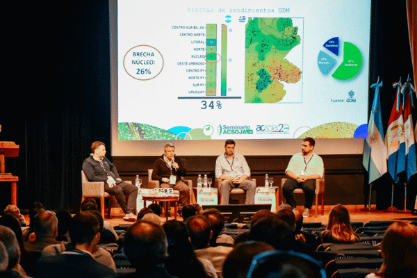 Brechas de rendimiento: la soja busca el camino para llegar a las 5 toneladas por hectárea