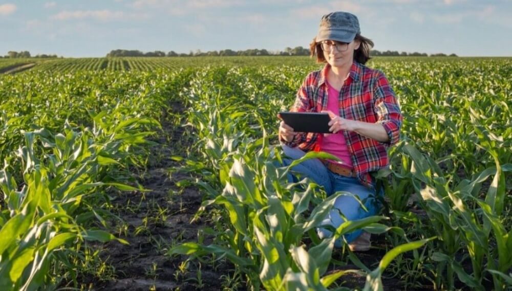 Orden y eficiencia: las “estrategias de cultivo” mejoran con soporte digital