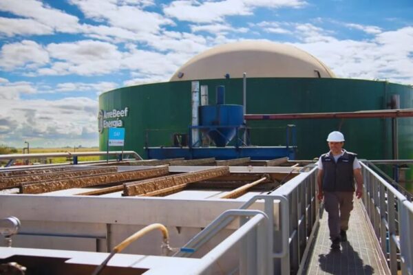 ¿Qué hacer con los residuos de los frigoríficos? Crece el aprovechamiento del compost mediante biodigestores