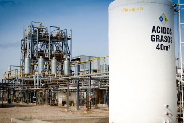 Se abrió una grieta en los biocombustibles: pymes del biodiésel, contra la “Liga Bioenergética”