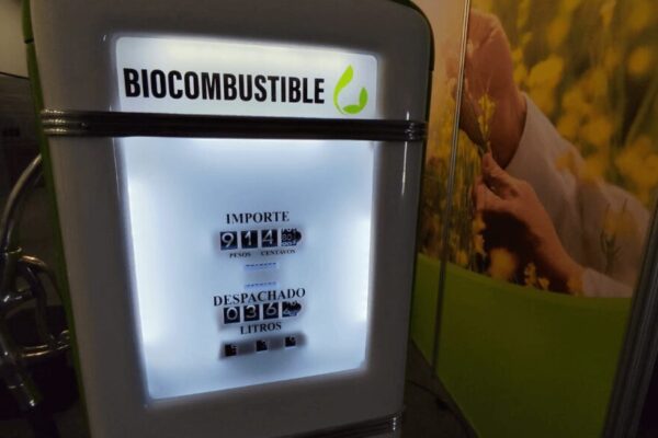 Un avión que no pasará dos veces: el agro argentino tiene todo para despegar con los “biofuels”