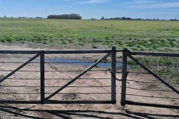 Lluvias espaciadas en el tiempo y altas temperaturas: lo que viene en una campaña con “Niña tardía” Lluvias espaciadas en el tiempo y altas temperaturas: lo que viene en una campaña con “Niña tardía”