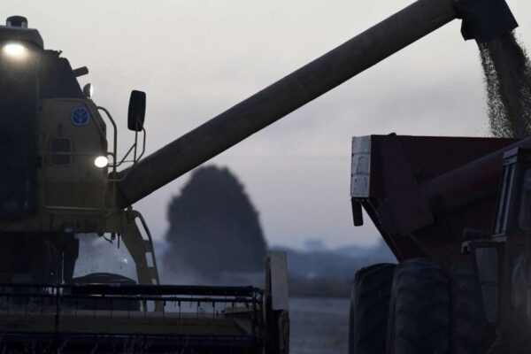 Toneladas, exportaciones y dólares: las proyecciones del primer “presupuesto” del agro para 2025