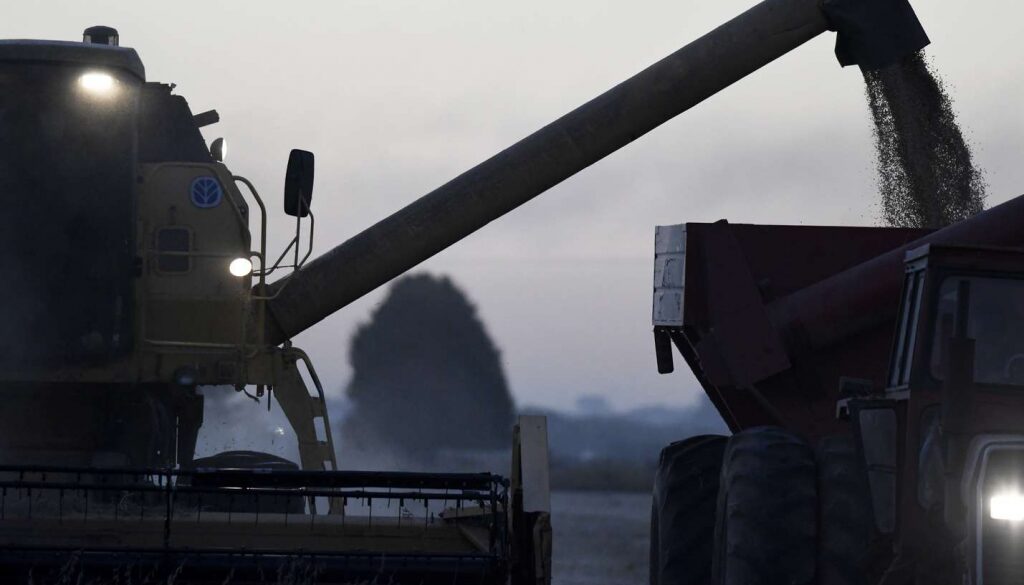 Toneladas, exportaciones y dólares: las proyecciones del primer “presupuesto” del agro para 2025