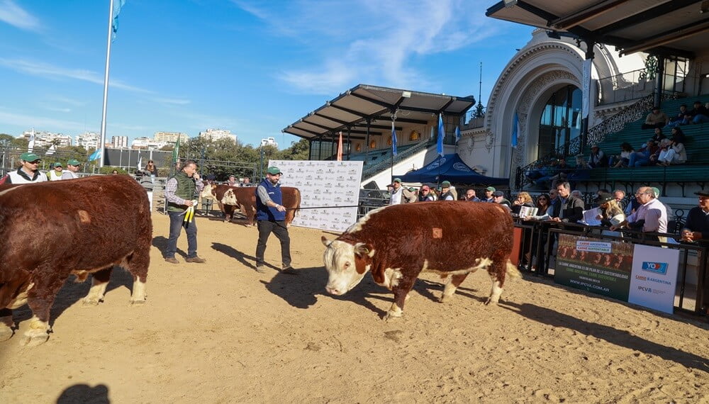 Tras festejar su Centenario, la raza Hereford activa su Plan 2030 y busca ser cada vez más federal