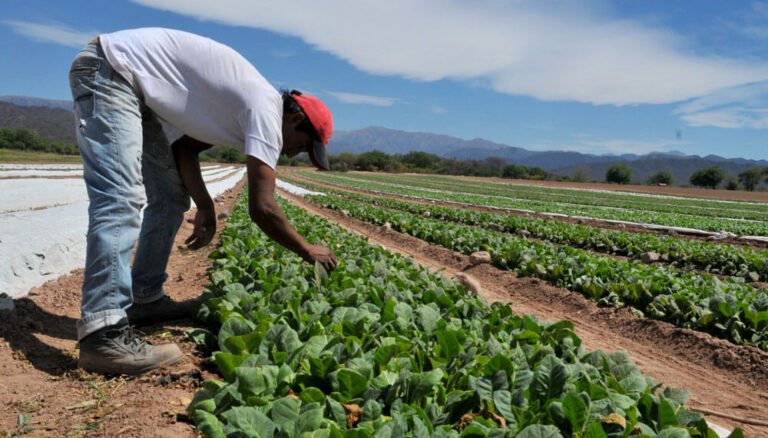 Un semáforo opaco para las economías regionales: solo 1 de 19 actividades tiene luz verde