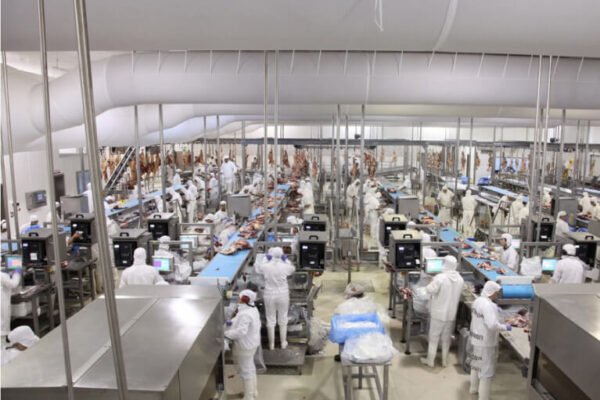 Con Chile y Europa como mercados destacados, las exportaciones de carne vacuna mantienen buen ritmo