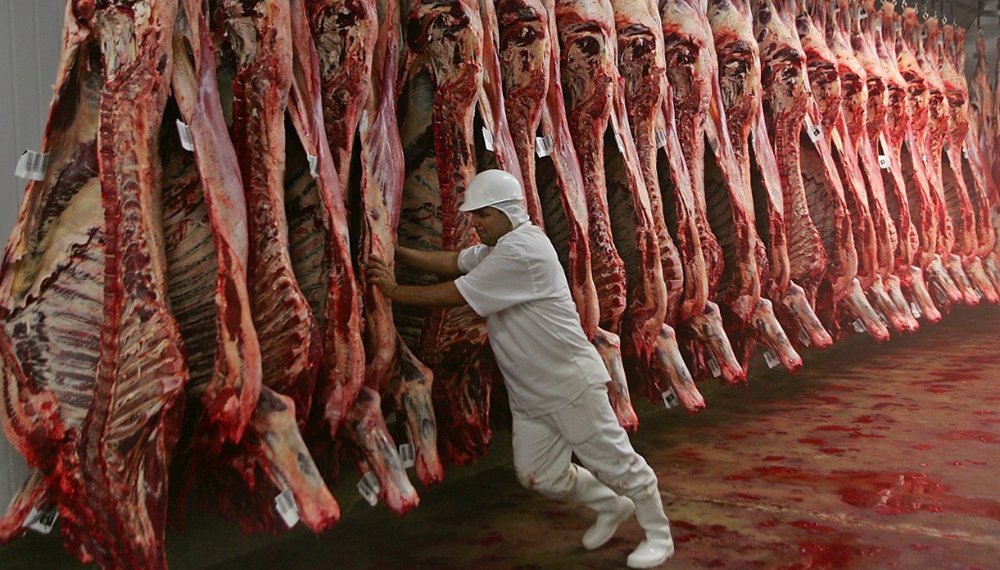 El precio de la hacienda y de la carne: frigoríficos ponen en duda que haya aumentos en el corto plazo