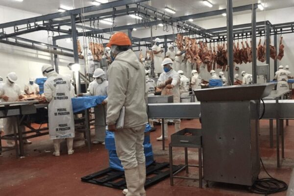 Frigoríficos celebran una medida del Senasa que permitirá fortalecer las exportaciones de carne