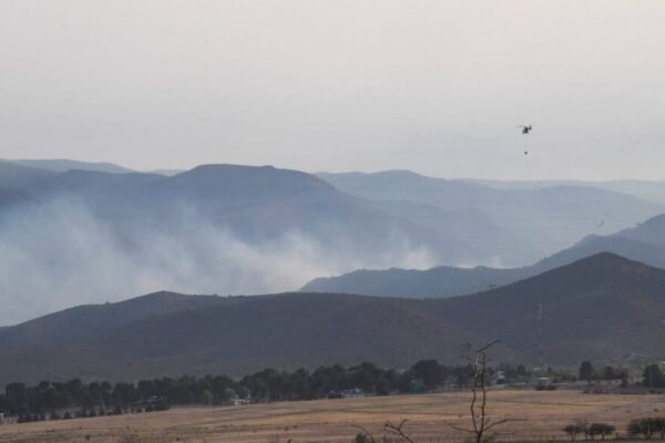 Milei visitó las zonas de incendios y Córdoba declarará el desastre agropecuario
