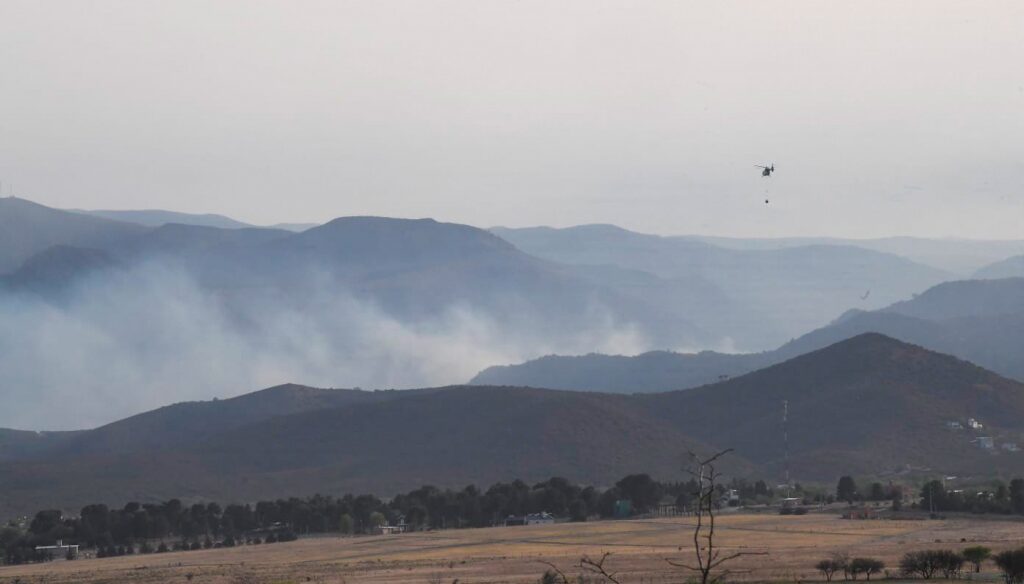 Milei visitó las zonas de incendios y Córdoba declarará el desastre agropecuario