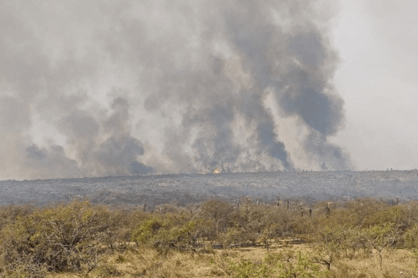 El drama de los incendios se propaga y hay advertencia por humo en 11 provincias