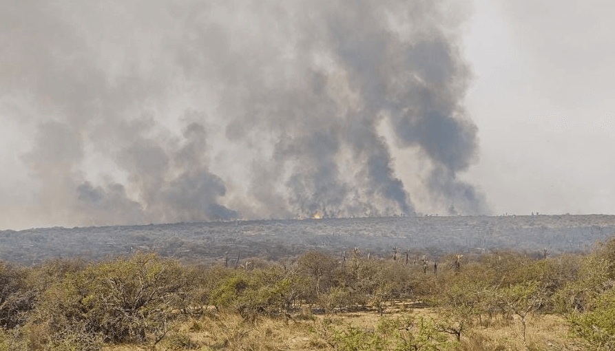 El drama de los incendios se propaga y hay advertencia por humo en 11 provincias