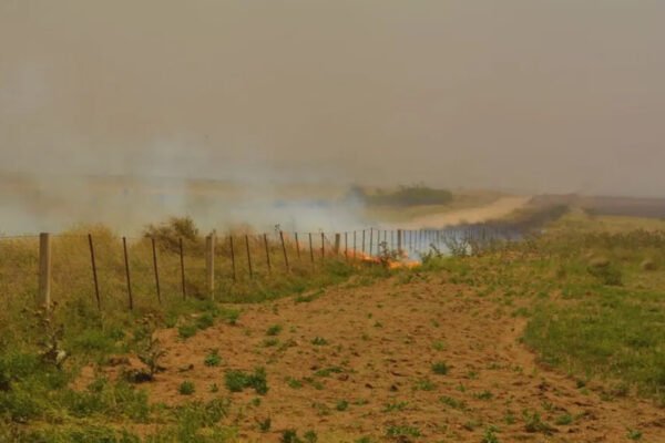 Ante una primavera más calida que lo normal, el INTA recordó las pautas para prevenir incendios