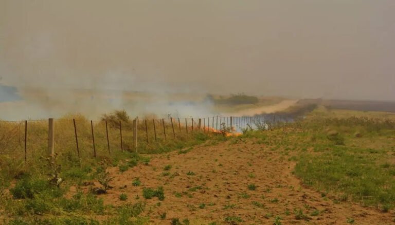 Ante una primavera más calida que lo normal, el INTA recordó las pautas para prevenir incendios